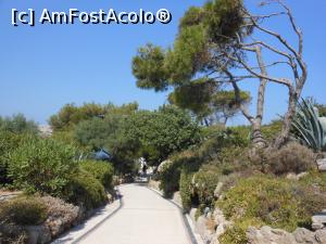 [P29] Kallithea Springs - În grădină.  » foto by iulianic
 - 
<span class="allrVoted glyphicon glyphicon-heart hidden" id="av1007638"></span>
<a class="m-l-10 hidden" id="sv1007638" onclick="voting_Foto_DelVot(,1007638,18817)" role="button">șterge vot <span class="glyphicon glyphicon-remove"></span></a>
<a id="v91007638" class=" c-red"  onclick="voting_Foto_SetVot(1007638)" role="button"><span class="glyphicon glyphicon-heart-empty"></span> <b>LIKE</b> = Votează poza</a> <img class="hidden"  id="f1007638W9" src="/imagini/loader.gif" border="0" /><span class="AjErrMes hidden" id="e1007638ErM"></span>