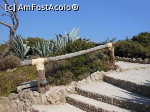 [P30] Kallithea Springs - În grădină.  » foto by iulianic
 - 
<span class="allrVoted glyphicon glyphicon-heart hidden" id="av1007639"></span>
<a class="m-l-10 hidden" id="sv1007639" onclick="voting_Foto_DelVot(,1007639,18817)" role="button">șterge vot <span class="glyphicon glyphicon-remove"></span></a>
<a id="v91007639" class=" c-red"  onclick="voting_Foto_SetVot(1007639)" role="button"><span class="glyphicon glyphicon-heart-empty"></span> <b>LIKE</b> = Votează poza</a> <img class="hidden"  id="f1007639W9" src="/imagini/loader.gif" border="0" /><span class="AjErrMes hidden" id="e1007639ErM"></span>