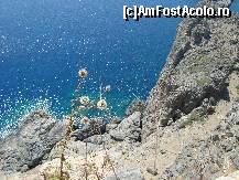[P09] Marea Mediterana vazuta de sus , de pe Acropolele din Lindos » foto by corinne
 - 
<span class="allrVoted glyphicon glyphicon-heart hidden" id="av110302"></span>
<a class="m-l-10 hidden" id="sv110302" onclick="voting_Foto_DelVot(,110302,18817)" role="button">șterge vot <span class="glyphicon glyphicon-remove"></span></a>
<a id="v9110302" class=" c-red"  onclick="voting_Foto_SetVot(110302)" role="button"><span class="glyphicon glyphicon-heart-empty"></span> <b>LIKE</b> = Votează poza</a> <img class="hidden"  id="f110302W9" src="/imagini/loader.gif" border="0" /><span class="AjErrMes hidden" id="e110302ErM"></span>