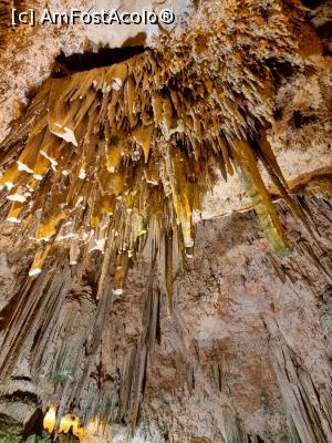 [P51] Grotta di Nettuno » foto by pepsi70ro
 - 
<span class="allrVoted glyphicon glyphicon-heart hidden" id="av1288961"></span>
<a class="m-l-10 hidden" id="sv1288961" onclick="voting_Foto_DelVot(,1288961,18818)" role="button">șterge vot <span class="glyphicon glyphicon-remove"></span></a>
<a id="v91288961" class=" c-red"  onclick="voting_Foto_SetVot(1288961)" role="button"><span class="glyphicon glyphicon-heart-empty"></span> <b>LIKE</b> = Votează poza</a> <img class="hidden"  id="f1288961W9" src="/imagini/loader.gif" border="0" /><span class="AjErrMes hidden" id="e1288961ErM"></span>