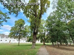 [P25] Parcul dendrologic. » foto by tata123 🔱
 - 
<span class="allrVoted glyphicon glyphicon-heart hidden" id="av1322141"></span>
<a class="m-l-10 hidden" id="sv1322141" onclick="voting_Foto_DelVot(,1322141,18845)" role="button">șterge vot <span class="glyphicon glyphicon-remove"></span></a>
<a id="v91322141" class=" c-red"  onclick="voting_Foto_SetVot(1322141)" role="button"><span class="glyphicon glyphicon-heart-empty"></span> <b>LIKE</b> = Votează poza</a> <img class="hidden"  id="f1322141W9" src="/imagini/loader.gif" border="0" /><span class="AjErrMes hidden" id="e1322141ErM"></span>