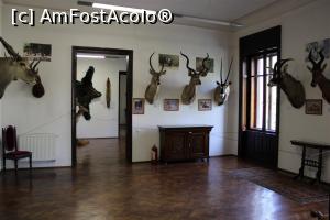 [P32] Carei, Castelul Károlyi, Expo Africa » foto by mprofeanu
 - 
<span class="allrVoted glyphicon glyphicon-heart hidden" id="av1069667"></span>
<a class="m-l-10 hidden" id="sv1069667" onclick="voting_Foto_DelVot(,1069667,18846)" role="button">șterge vot <span class="glyphicon glyphicon-remove"></span></a>
<a id="v91069667" class=" c-red"  onclick="voting_Foto_SetVot(1069667)" role="button"><span class="glyphicon glyphicon-heart-empty"></span> <b>LIKE</b> = Votează poza</a> <img class="hidden"  id="f1069667W9" src="/imagini/loader.gif" border="0" /><span class="AjErrMes hidden" id="e1069667ErM"></span>
