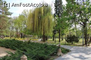 [P46] Carei, Castelul Károlyi, Parcul Dendrologic cu alei refăcute » foto by mprofeanu
 - 
<span class="allrVoted glyphicon glyphicon-heart hidden" id="av1069681"></span>
<a class="m-l-10 hidden" id="sv1069681" onclick="voting_Foto_DelVot(,1069681,18846)" role="button">șterge vot <span class="glyphicon glyphicon-remove"></span></a>
<a id="v91069681" class=" c-red"  onclick="voting_Foto_SetVot(1069681)" role="button"><span class="glyphicon glyphicon-heart-empty"></span> <b>LIKE</b> = Votează poza</a> <img class="hidden"  id="f1069681W9" src="/imagini/loader.gif" border="0" /><span class="AjErrMes hidden" id="e1069681ErM"></span>