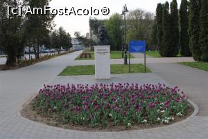 [P78] Carei, parcul de lângă Monumentul Ostașului Român și Bustul regelui Ferdinand » foto by mprofeanu
 - 
<span class="allrVoted glyphicon glyphicon-heart hidden" id="av1069713"></span>
<a class="m-l-10 hidden" id="sv1069713" onclick="voting_Foto_DelVot(,1069713,18846)" role="button">șterge vot <span class="glyphicon glyphicon-remove"></span></a>
<a id="v91069713" class=" c-red"  onclick="voting_Foto_SetVot(1069713)" role="button"><span class="glyphicon glyphicon-heart-empty"></span> <b>LIKE</b> = Votează poza</a> <img class="hidden"  id="f1069713W9" src="/imagini/loader.gif" border="0" /><span class="AjErrMes hidden" id="e1069713ErM"></span>