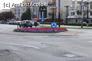[P81] Carei, o intersecție cu lalele » foto by mprofeanu
 - 
<span class="allrVoted glyphicon glyphicon-heart hidden" id="av1069716"></span>
<a class="m-l-10 hidden" id="sv1069716" onclick="voting_Foto_DelVot(,1069716,18846)" role="button">șterge vot <span class="glyphicon glyphicon-remove"></span></a>
<a id="v91069716" class=" c-red"  onclick="voting_Foto_SetVot(1069716)" role="button"><span class="glyphicon glyphicon-heart-empty"></span> <b>LIKE</b> = Votează poza</a> <img class="hidden"  id="f1069716W9" src="/imagini/loader.gif" border="0" /><span class="AjErrMes hidden" id="e1069716ErM"></span>