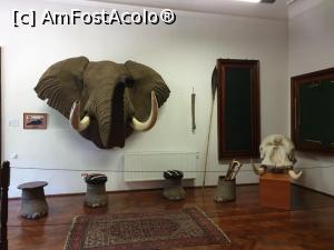 [P35] <strong>Camerele trofeelor de vacanta</strong>, dedicata trofeelor impaiate ale animalelor din Europa si Africa, vanate de Pánczél Zoltán Tibor, care a fost donata, la dorinta lui, de mostenitorii acestuia in 2013. » foto by geani anto
 - 
<span class="allrVoted glyphicon glyphicon-heart hidden" id="av1203539"></span>
<a class="m-l-10 hidden" id="sv1203539" onclick="voting_Foto_DelVot(,1203539,18846)" role="button">șterge vot <span class="glyphicon glyphicon-remove"></span></a>
<a id="v91203539" class=" c-red"  onclick="voting_Foto_SetVot(1203539)" role="button"><span class="glyphicon glyphicon-heart-empty"></span> <b>LIKE</b> = Votează poza</a> <img class="hidden"  id="f1203539W9" src="/imagini/loader.gif" border="0" /><span class="AjErrMes hidden" id="e1203539ErM"></span>