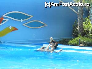 [P15] Show-ul de la delfinariu » foto by phleau
 - 
<span class="allrVoted glyphicon glyphicon-heart hidden" id="av642987"></span>
<a class="m-l-10 hidden" id="sv642987" onclick="voting_Foto_DelVot(,642987,18880)" role="button">șterge vot <span class="glyphicon glyphicon-remove"></span></a>
<a id="v9642987" class=" c-red"  onclick="voting_Foto_SetVot(642987)" role="button"><span class="glyphicon glyphicon-heart-empty"></span> <b>LIKE</b> = Votează poza</a> <img class="hidden"  id="f642987W9" src="/imagini/loader.gif" border="0" /><span class="AjErrMes hidden" id="e642987ErM"></span>