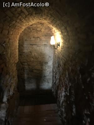 [P21] Tunelul spre temniță » foto by Yersinia Pestis
 - 
<span class="allrVoted glyphicon glyphicon-heart hidden" id="av901669"></span>
<a class="m-l-10 hidden" id="sv901669" onclick="voting_Foto_DelVot(,901669,18888)" role="button">șterge vot <span class="glyphicon glyphicon-remove"></span></a>
<a id="v9901669" class=" c-red"  onclick="voting_Foto_SetVot(901669)" role="button"><span class="glyphicon glyphicon-heart-empty"></span> <b>LIKE</b> = Votează poza</a> <img class="hidden"  id="f901669W9" src="/imagini/loader.gif" border="0" /><span class="AjErrMes hidden" id="e901669ErM"></span>