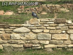 [P35] Cetatea antică de la Capul Sfântul Atanasie – Byala » foto by nicole33
 - 
<span class="allrVoted glyphicon glyphicon-heart hidden" id="av1103088"></span>
<a class="m-l-10 hidden" id="sv1103088" onclick="voting_Foto_DelVot(,1103088,18889)" role="button">șterge vot <span class="glyphicon glyphicon-remove"></span></a>
<a id="v91103088" class=" c-red"  onclick="voting_Foto_SetVot(1103088)" role="button"><span class="glyphicon glyphicon-heart-empty"></span> <b>LIKE</b> = Votează poza</a> <img class="hidden"  id="f1103088W9" src="/imagini/loader.gif" border="0" /><span class="AjErrMes hidden" id="e1103088ErM"></span>
