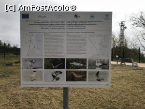 [P37] Cetatea antică de la Capul Sfântul Atanasie – Byala » foto by nicole33
 - 
<span class="allrVoted glyphicon glyphicon-heart hidden" id="av1103090"></span>
<a class="m-l-10 hidden" id="sv1103090" onclick="voting_Foto_DelVot(,1103090,18889)" role="button">șterge vot <span class="glyphicon glyphicon-remove"></span></a>
<a id="v91103090" class=" c-red"  onclick="voting_Foto_SetVot(1103090)" role="button"><span class="glyphicon glyphicon-heart-empty"></span> <b>LIKE</b> = Votează poza</a> <img class="hidden"  id="f1103090W9" src="/imagini/loader.gif" border="0" /><span class="AjErrMes hidden" id="e1103090ErM"></span>