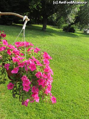 [P28] Curtea pensiunii » foto by Testosu'
 - 
<span class="allrVoted glyphicon glyphicon-heart hidden" id="av645376"></span>
<a class="m-l-10 hidden" id="sv645376" onclick="voting_Foto_DelVot(,645376,18901)" role="button">șterge vot <span class="glyphicon glyphicon-remove"></span></a>
<a id="v9645376" class=" c-red"  onclick="voting_Foto_SetVot(645376)" role="button"><span class="glyphicon glyphicon-heart-empty"></span> <b>LIKE</b> = Votează poza</a> <img class="hidden"  id="f645376W9" src="/imagini/loader.gif" border="0" /><span class="AjErrMes hidden" id="e645376ErM"></span>