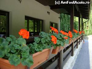 [P03] Terasa pensiunii » foto by Testosu'
 - 
<span class="allrVoted glyphicon glyphicon-heart hidden" id="av645349"></span>
<a class="m-l-10 hidden" id="sv645349" onclick="voting_Foto_DelVot(,645349,18901)" role="button">șterge vot <span class="glyphicon glyphicon-remove"></span></a>
<a id="v9645349" class=" c-red"  onclick="voting_Foto_SetVot(645349)" role="button"><span class="glyphicon glyphicon-heart-empty"></span> <b>LIKE</b> = Votează poza</a> <img class="hidden"  id="f645349W9" src="/imagini/loader.gif" border="0" /><span class="AjErrMes hidden" id="e645349ErM"></span>