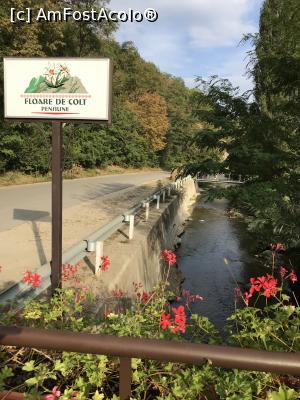 [P03] Galda cea liniștită » foto by krisstinna
 - 
<span class="allrVoted glyphicon glyphicon-heart hidden" id="av1193026"></span>
<a class="m-l-10 hidden" id="sv1193026" onclick="voting_Foto_DelVot(,1193026,18901)" role="button">șterge vot <span class="glyphicon glyphicon-remove"></span></a>
<a id="v91193026" class=" c-red"  onclick="voting_Foto_SetVot(1193026)" role="button"><span class="glyphicon glyphicon-heart-empty"></span> <b>LIKE</b> = Votează poza</a> <img class="hidden"  id="f1193026W9" src="/imagini/loader.gif" border="0" /><span class="AjErrMes hidden" id="e1193026ErM"></span>