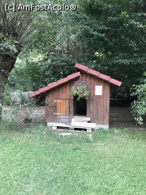 [P54] Casa cățeilor » foto by krisstinna
 - 
<span class="allrVoted glyphicon glyphicon-heart hidden" id="av1193077"></span>
<a class="m-l-10 hidden" id="sv1193077" onclick="voting_Foto_DelVot(,1193077,18901)" role="button">șterge vot <span class="glyphicon glyphicon-remove"></span></a>
<a id="v91193077" class=" c-red"  onclick="voting_Foto_SetVot(1193077)" role="button"><span class="glyphicon glyphicon-heart-empty"></span> <b>LIKE</b> = Votează poza</a> <img class="hidden"  id="f1193077W9" src="/imagini/loader.gif" border="0" /><span class="AjErrMes hidden" id="e1193077ErM"></span>