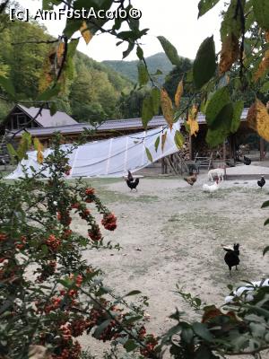 [P57] Curtea găinilor » foto by krisstinna
 - 
<span class="allrVoted glyphicon glyphicon-heart hidden" id="av1193080"></span>
<a class="m-l-10 hidden" id="sv1193080" onclick="voting_Foto_DelVot(,1193080,18901)" role="button">șterge vot <span class="glyphicon glyphicon-remove"></span></a>
<a id="v91193080" class=" c-red"  onclick="voting_Foto_SetVot(1193080)" role="button"><span class="glyphicon glyphicon-heart-empty"></span> <b>LIKE</b> = Votează poza</a> <img class="hidden"  id="f1193080W9" src="/imagini/loader.gif" border="0" /><span class="AjErrMes hidden" id="e1193080ErM"></span>