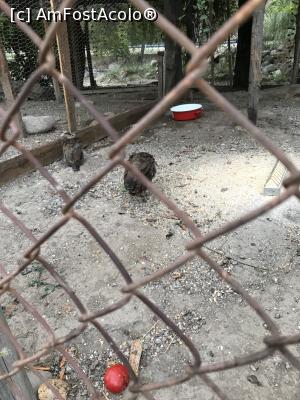 [P72] Păsări cuminți » foto by krisstinna
 - 
<span class="allrVoted glyphicon glyphicon-heart hidden" id="av1193095"></span>
<a class="m-l-10 hidden" id="sv1193095" onclick="voting_Foto_DelVot(,1193095,18901)" role="button">șterge vot <span class="glyphicon glyphicon-remove"></span></a>
<a id="v91193095" class=" c-red"  onclick="voting_Foto_SetVot(1193095)" role="button"><span class="glyphicon glyphicon-heart-empty"></span> <b>LIKE</b> = Votează poza</a> <img class="hidden"  id="f1193095W9" src="/imagini/loader.gif" border="0" /><span class="AjErrMes hidden" id="e1193095ErM"></span>