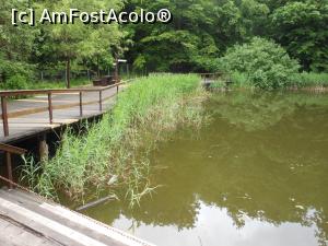 [P13] Sovata - Lacul Ursu, văzut de pe aleea de promenadă. » foto by iulianic
 - 
<span class="allrVoted glyphicon glyphicon-heart hidden" id="av1375043"></span>
<a class="m-l-10 hidden" id="sv1375043" onclick="voting_Foto_DelVot(,1375043,18907)" role="button">șterge vot <span class="glyphicon glyphicon-remove"></span></a>
<a id="v91375043" class=" c-red"  onclick="voting_Foto_SetVot(1375043)" role="button"><span class="glyphicon glyphicon-heart-empty"></span> <b>LIKE</b> = Votează poza</a> <img class="hidden"  id="f1375043W9" src="/imagini/loader.gif" border="0" /><span class="AjErrMes hidden" id="e1375043ErM"></span>