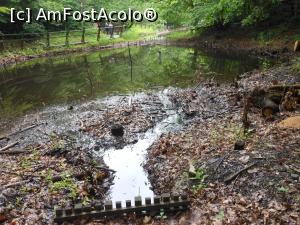 [P15] Sovata - Mici lacuri în rezervația naturală protejată. » foto by iulianic
 - 
<span class="allrVoted glyphicon glyphicon-heart hidden" id="av1375045"></span>
<a class="m-l-10 hidden" id="sv1375045" onclick="voting_Foto_DelVot(,1375045,18907)" role="button">șterge vot <span class="glyphicon glyphicon-remove"></span></a>
<a id="v91375045" class=" c-red"  onclick="voting_Foto_SetVot(1375045)" role="button"><span class="glyphicon glyphicon-heart-empty"></span> <b>LIKE</b> = Votează poza</a> <img class="hidden"  id="f1375045W9" src="/imagini/loader.gif" border="0" /><span class="AjErrMes hidden" id="e1375045ErM"></span>