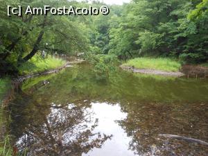 [P19] Sovata - Lacuri în rezervația naturală protejată. » foto by iulianic
 - 
<span class="allrVoted glyphicon glyphicon-heart hidden" id="av1375049"></span>
<a class="m-l-10 hidden" id="sv1375049" onclick="voting_Foto_DelVot(,1375049,18907)" role="button">șterge vot <span class="glyphicon glyphicon-remove"></span></a>
<a id="v91375049" class=" c-red"  onclick="voting_Foto_SetVot(1375049)" role="button"><span class="glyphicon glyphicon-heart-empty"></span> <b>LIKE</b> = Votează poza</a> <img class="hidden"  id="f1375049W9" src="/imagini/loader.gif" border="0" /><span class="AjErrMes hidden" id="e1375049ErM"></span>