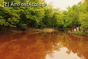 [P08] Lacul Rosu din Sovata » foto by Dana2008
 - 
<span class="allrVoted glyphicon glyphicon-heart hidden" id="av739418"></span>
<a class="m-l-10 hidden" id="sv739418" onclick="voting_Foto_DelVot(,739418,18907)" role="button">șterge vot <span class="glyphicon glyphicon-remove"></span></a>
<a id="v9739418" class=" c-red"  onclick="voting_Foto_SetVot(739418)" role="button"><span class="glyphicon glyphicon-heart-empty"></span> <b>LIKE</b> = Votează poza</a> <img class="hidden"  id="f739418W9" src="/imagini/loader.gif" border="0" /><span class="AjErrMes hidden" id="e739418ErM"></span>