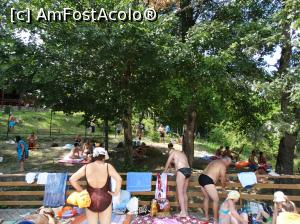 [P11] Lacul Ursu - Sovata. Gardul pontonului pe care trebuia sa-l sarim pentru a ajunge la patura noastra. Chiar daca de aici nu se vede, in spatele acelui gard este un sant lat si adanc, greu de traversat.  » foto by vega06
 - 
<span class="allrVoted glyphicon glyphicon-heart hidden" id="av746233"></span>
<a class="m-l-10 hidden" id="sv746233" onclick="voting_Foto_DelVot(,746233,18907)" role="button">șterge vot <span class="glyphicon glyphicon-remove"></span></a>
<a id="v9746233" class=" c-red"  onclick="voting_Foto_SetVot(746233)" role="button"><span class="glyphicon glyphicon-heart-empty"></span> <b>LIKE</b> = Votează poza</a> <img class="hidden"  id="f746233W9" src="/imagini/loader.gif" border="0" /><span class="AjErrMes hidden" id="e746233ErM"></span>
