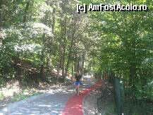 [P42] A aparut si o pista pentru biciclisti » foto by dorgo
 - 
<span class="allrVoted glyphicon glyphicon-heart hidden" id="av103758"></span>
<a class="m-l-10 hidden" id="sv103758" onclick="voting_Foto_DelVot(,103758,18907)" role="button">șterge vot <span class="glyphicon glyphicon-remove"></span></a>
<a id="v9103758" class=" c-red"  onclick="voting_Foto_SetVot(103758)" role="button"><span class="glyphicon glyphicon-heart-empty"></span> <b>LIKE</b> = Votează poza</a> <img class="hidden"  id="f103758W9" src="/imagini/loader.gif" border="0" /><span class="AjErrMes hidden" id="e103758ErM"></span>