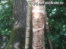 [P44] Cu harta Ungariei cea mare » foto by dorgo
 - 
<span class="allrVoted glyphicon glyphicon-heart hidden" id="av103760"></span>
<a class="m-l-10 hidden" id="sv103760" onclick="voting_Foto_DelVot(,103760,18907)" role="button">șterge vot <span class="glyphicon glyphicon-remove"></span></a>
<a id="v9103760" class=" c-red"  onclick="voting_Foto_SetVot(103760)" role="button"><span class="glyphicon glyphicon-heart-empty"></span> <b>LIKE</b> = Votează poza</a> <img class="hidden"  id="f103760W9" src="/imagini/loader.gif" border="0" /><span class="AjErrMes hidden" id="e103760ErM"></span>