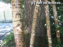 [P46] Si cu coroana Sfantului Stefan,intemeietorul Ungariei mari. Se observa si vechea scriere maghiara. O asemenea bota costa 150 de lei. » foto by dorgo
 - 
<span class="allrVoted glyphicon glyphicon-heart hidden" id="av103762"></span>
<a class="m-l-10 hidden" id="sv103762" onclick="voting_Foto_DelVot(,103762,18907)" role="button">șterge vot <span class="glyphicon glyphicon-remove"></span></a>
<a id="v9103762" class=" c-red"  onclick="voting_Foto_SetVot(103762)" role="button"><span class="glyphicon glyphicon-heart-empty"></span> <b>LIKE</b> = Votează poza</a> <img class="hidden"  id="f103762W9" src="/imagini/loader.gif" border="0" /><span class="AjErrMes hidden" id="e103762ErM"></span>