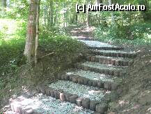[P54] Apar si niste scari care vin de niciunde si duc nicaieri » foto by dorgo
 - 
<span class="allrVoted glyphicon glyphicon-heart hidden" id="av103770"></span>
<a class="m-l-10 hidden" id="sv103770" onclick="voting_Foto_DelVot(,103770,18907)" role="button">șterge vot <span class="glyphicon glyphicon-remove"></span></a>
<a id="v9103770" class=" c-red"  onclick="voting_Foto_SetVot(103770)" role="button"><span class="glyphicon glyphicon-heart-empty"></span> <b>LIKE</b> = Votează poza</a> <img class="hidden"  id="f103770W9" src="/imagini/loader.gif" border="0" /><span class="AjErrMes hidden" id="e103770ErM"></span>