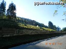 [P03] Castelul Cantacuzino - Vedere dinspre sosea » foto by Paty
 - 
<span class="allrVoted glyphicon glyphicon-heart hidden" id="av376163"></span>
<a class="m-l-10 hidden" id="sv376163" onclick="voting_Foto_DelVot(,376163,18916)" role="button">șterge vot <span class="glyphicon glyphicon-remove"></span></a>
<a id="v9376163" class=" c-red"  onclick="voting_Foto_SetVot(376163)" role="button"><span class="glyphicon glyphicon-heart-empty"></span> <b>LIKE</b> = Votează poza</a> <img class="hidden"  id="f376163W9" src="/imagini/loader.gif" border="0" /><span class="AjErrMes hidden" id="e376163ErM"></span>