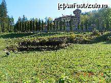 [P47] Castelul Cantacuzino - Grota artificiala » foto by Paty
 - 
<span class="allrVoted glyphicon glyphicon-heart hidden" id="av376581"></span>
<a class="m-l-10 hidden" id="sv376581" onclick="voting_Foto_DelVot(,376581,18916)" role="button">șterge vot <span class="glyphicon glyphicon-remove"></span></a>
<a id="v9376581" class=" c-red"  onclick="voting_Foto_SetVot(376581)" role="button"><span class="glyphicon glyphicon-heart-empty"></span> <b>LIKE</b> = Votează poza</a> <img class="hidden"  id="f376581W9" src="/imagini/loader.gif" border="0" /><span class="AjErrMes hidden" id="e376581ErM"></span>