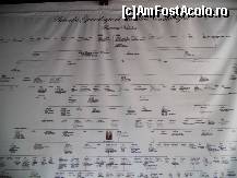 [P07] Arborele genealogic al familiei Cantacuzino » foto by pepsi70ro
 - 
<span class="allrVoted glyphicon glyphicon-heart hidden" id="av378971"></span>
<a class="m-l-10 hidden" id="sv378971" onclick="voting_Foto_DelVot(,378971,18916)" role="button">șterge vot <span class="glyphicon glyphicon-remove"></span></a>
<a id="v9378971" class=" c-red"  onclick="voting_Foto_SetVot(378971)" role="button"><span class="glyphicon glyphicon-heart-empty"></span> <b>LIKE</b> = Votează poza</a> <img class="hidden"  id="f378971W9" src="/imagini/loader.gif" border="0" /><span class="AjErrMes hidden" id="e378971ErM"></span>