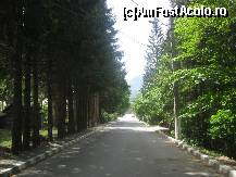 [P25] Strada Zamora, pe care se afla intrarea in palat » foto by dorgo
 - 
<span class="allrVoted glyphicon glyphicon-heart hidden" id="av467848"></span>
<a class="m-l-10 hidden" id="sv467848" onclick="voting_Foto_DelVot(,467848,18916)" role="button">șterge vot <span class="glyphicon glyphicon-remove"></span></a>
<a id="v9467848" class=" c-red"  onclick="voting_Foto_SetVot(467848)" role="button"><span class="glyphicon glyphicon-heart-empty"></span> <b>LIKE</b> = Votează poza</a> <img class="hidden"  id="f467848W9" src="/imagini/loader.gif" border="0" /><span class="AjErrMes hidden" id="e467848ErM"></span>