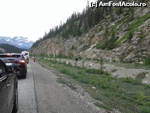 [P21] Toata lumea a oprit sa-l vada pe Mos Martin. Un chinez mai fara minte s-a dat jos sa-l filmeze. Am inteles ca 'negrii' astia sunt foarte iuti. La o adica omul n-are nici-o sansa... In Canada sunt cursuri de ce trebuie sa faci in cazul intalnirii unui 'negru'. Pentru Grizzly n-are rost...  » foto by Bujie
 - 
<span class="allrVoted glyphicon glyphicon-heart hidden" id="av646285"></span>
<a class="m-l-10 hidden" id="sv646285" onclick="voting_Foto_DelVot(,646285,18917)" role="button">șterge vot <span class="glyphicon glyphicon-remove"></span></a>
<a id="v9646285" class=" c-red"  onclick="voting_Foto_SetVot(646285)" role="button"><span class="glyphicon glyphicon-heart-empty"></span> <b>LIKE</b> = Votează poza</a> <img class="hidden"  id="f646285W9" src="/imagini/loader.gif" border="0" /><span class="AjErrMes hidden" id="e646285ErM"></span>