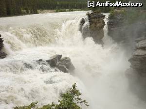 [P26] Athabasca Falls » foto by Bujie
 - 
<span class="allrVoted glyphicon glyphicon-heart hidden" id="av646293"></span>
<a class="m-l-10 hidden" id="sv646293" onclick="voting_Foto_DelVot(,646293,18917)" role="button">șterge vot <span class="glyphicon glyphicon-remove"></span></a>
<a id="v9646293" class=" c-red"  onclick="voting_Foto_SetVot(646293)" role="button"><span class="glyphicon glyphicon-heart-empty"></span> <b>LIKE</b> = Votează poza</a> <img class="hidden"  id="f646293W9" src="/imagini/loader.gif" border="0" /><span class="AjErrMes hidden" id="e646293ErM"></span>