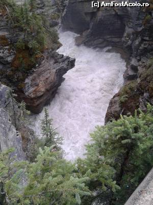 [P27] Athabasca Falls - cazanul.  » foto by Bujie
 - 
<span class="allrVoted glyphicon glyphicon-heart hidden" id="av646294"></span>
<a class="m-l-10 hidden" id="sv646294" onclick="voting_Foto_DelVot(,646294,18917)" role="button">șterge vot <span class="glyphicon glyphicon-remove"></span></a>
<a id="v9646294" class=" c-red"  onclick="voting_Foto_SetVot(646294)" role="button"><span class="glyphicon glyphicon-heart-empty"></span> <b>LIKE</b> = Votează poza</a> <img class="hidden"  id="f646294W9" src="/imagini/loader.gif" border="0" /><span class="AjErrMes hidden" id="e646294ErM"></span>