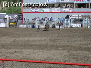 [P17] Rodeo - proba de bull riding » foto by ebirsan
 - 
<span class="allrVoted glyphicon glyphicon-heart hidden" id="av739380"></span>
<a class="m-l-10 hidden" id="sv739380" onclick="voting_Foto_DelVot(,739380,18917)" role="button">șterge vot <span class="glyphicon glyphicon-remove"></span></a>
<a id="v9739380" class=" c-red"  onclick="voting_Foto_SetVot(739380)" role="button"><span class="glyphicon glyphicon-heart-empty"></span> <b>LIKE</b> = Votează poza</a> <img class="hidden"  id="f739380W9" src="/imagini/loader.gif" border="0" /><span class="AjErrMes hidden" id="e739380ErM"></span>