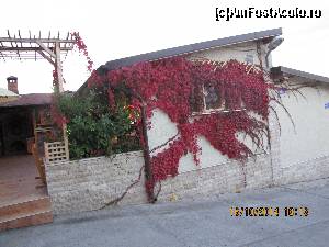 [P09] Intrarea la terasa pensiunii!  » foto by celeste
 - 
<span class="allrVoted glyphicon glyphicon-heart hidden" id="av646477"></span>
<a class="m-l-10 hidden" id="sv646477" onclick="voting_Foto_DelVot(,646477,18920)" role="button">șterge vot <span class="glyphicon glyphicon-remove"></span></a>
<a id="v9646477" class=" c-red"  onclick="voting_Foto_SetVot(646477)" role="button"><span class="glyphicon glyphicon-heart-empty"></span> <b>LIKE</b> = Votează poza</a> <img class="hidden"  id="f646477W9" src="/imagini/loader.gif" border="0" /><span class="AjErrMes hidden" id="e646477ErM"></span>