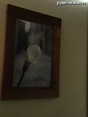 [P11] tablou din holul de la parter realizat dupa lucrarile unui artist fotograf local » foto by Dan&Ema
 - 
<span class="allrVoted glyphicon glyphicon-heart hidden" id="av646797"></span>
<a class="m-l-10 hidden" id="sv646797" onclick="voting_Foto_DelVot(,646797,18926)" role="button">șterge vot <span class="glyphicon glyphicon-remove"></span></a>
<a id="v9646797" class=" c-red"  onclick="voting_Foto_SetVot(646797)" role="button"><span class="glyphicon glyphicon-heart-empty"></span> <b>LIKE</b> = Votează poza</a> <img class="hidden"  id="f646797W9" src="/imagini/loader.gif" border="0" /><span class="AjErrMes hidden" id="e646797ErM"></span>