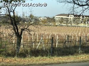 [P04] Podgoria de la intrarea in Cricova » foto by Dan&Ema
 - 
<span class="allrVoted glyphicon glyphicon-heart hidden" id="av1025872"></span>
<a class="m-l-10 hidden" id="sv1025872" onclick="voting_Foto_DelVot(,1025872,18928)" role="button">șterge vot <span class="glyphicon glyphicon-remove"></span></a>
<a id="v91025872" class=" c-red"  onclick="voting_Foto_SetVot(1025872)" role="button"><span class="glyphicon glyphicon-heart-empty"></span> <b>LIKE</b> = Votează poza</a> <img class="hidden"  id="f1025872W9" src="/imagini/loader.gif" border="0" /><span class="AjErrMes hidden" id="e1025872ErM"></span>