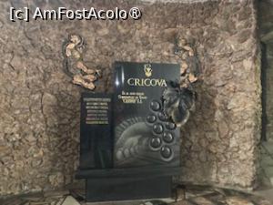 [P22] detaliu pe traseu » foto by aurora56
 - 
<span class="allrVoted glyphicon glyphicon-heart hidden" id="av1397123"></span>
<a class="m-l-10 hidden" id="sv1397123" onclick="voting_Foto_DelVot(,1397123,18928)" role="button">șterge vot <span class="glyphicon glyphicon-remove"></span></a>
<a id="v91397123" class=" c-red"  onclick="voting_Foto_SetVot(1397123)" role="button"><span class="glyphicon glyphicon-heart-empty"></span> <b>LIKE</b> = Votează poza</a> <img class="hidden"  id="f1397123W9" src="/imagini/loader.gif" border="0" /><span class="AjErrMes hidden" id="e1397123ErM"></span>