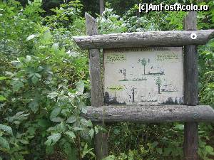 [P10] De ce se numeste 'traseu tematic'? ni se explica viata arborilor...  » foto by senateo
 - 
<span class="allrVoted glyphicon glyphicon-heart hidden" id="av664124"></span>
<a class="m-l-10 hidden" id="sv664124" onclick="voting_Foto_DelVot(,664124,18930)" role="button">șterge vot <span class="glyphicon glyphicon-remove"></span></a>
<a id="v9664124" class=" c-red"  onclick="voting_Foto_SetVot(664124)" role="button"><span class="glyphicon glyphicon-heart-empty"></span> <b>LIKE</b> = Votează poza</a> <img class="hidden"  id="f664124W9" src="/imagini/loader.gif" border="0" /><span class="AjErrMes hidden" id="e664124ErM"></span>