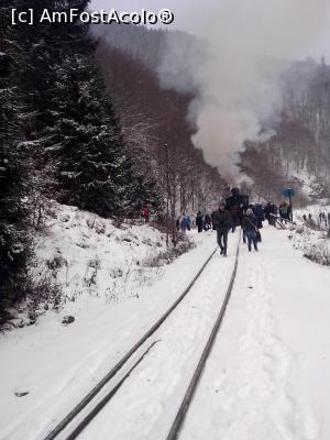 [P05] Mocănița bea apa » foto by MarinaCo
 - 
<span class="allrVoted glyphicon glyphicon-heart hidden" id="av1274722"></span>
<a class="m-l-10 hidden" id="sv1274722" onclick="voting_Foto_DelVot(,1274722,18930)" role="button">șterge vot <span class="glyphicon glyphicon-remove"></span></a>
<a id="v91274722" class=" c-red"  onclick="voting_Foto_SetVot(1274722)" role="button"><span class="glyphicon glyphicon-heart-empty"></span> <b>LIKE</b> = Votează poza</a> <img class="hidden"  id="f1274722W9" src="/imagini/loader.gif" border="0" /><span class="AjErrMes hidden" id="e1274722ErM"></span>