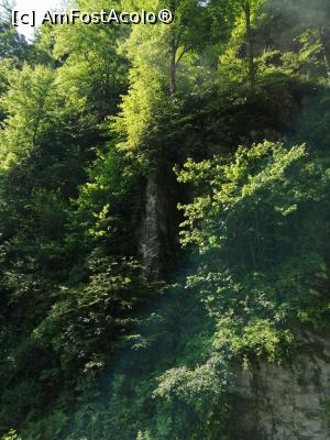 [P22] Peisaj montan. » foto by nelu73
 - 
<span class="allrVoted glyphicon glyphicon-heart hidden" id="av1170881"></span>
<a class="m-l-10 hidden" id="sv1170881" onclick="voting_Foto_DelVot(,1170881,18930)" role="button">șterge vot <span class="glyphicon glyphicon-remove"></span></a>
<a id="v91170881" class=" c-red"  onclick="voting_Foto_SetVot(1170881)" role="button"><span class="glyphicon glyphicon-heart-empty"></span> <b>LIKE</b> = Votează poza</a> <img class="hidden"  id="f1170881W9" src="/imagini/loader.gif" border="0" /><span class="AjErrMes hidden" id="e1170881ErM"></span>