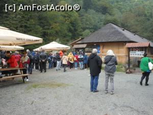 [P17] Cu Mocănița pe Valea Vaserului. La Paltin, la coada pentru o fustare. » foto by iulianic
 - 
<span class="allrVoted glyphicon glyphicon-heart hidden" id="av1329593"></span>
<a class="m-l-10 hidden" id="sv1329593" onclick="voting_Foto_DelVot(,1329593,18930)" role="button">șterge vot <span class="glyphicon glyphicon-remove"></span></a>
<a id="v91329593" class=" c-red"  onclick="voting_Foto_SetVot(1329593)" role="button"><span class="glyphicon glyphicon-heart-empty"></span> <b>LIKE</b> = Votează poza</a> <img class="hidden"  id="f1329593W9" src="/imagini/loader.gif" border="0" /><span class="AjErrMes hidden" id="e1329593ErM"></span>