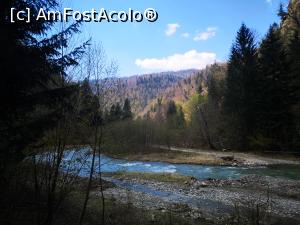 [P10]  -- <small>// FĂRĂ DESCRIERE</small> » foto by felixtm
 - 
<span class="allrVoted glyphicon glyphicon-heart hidden" id="av1066450"></span>
<a class="m-l-10 hidden" id="sv1066450" onclick="voting_Foto_DelVot(,1066450,18930)" role="button">șterge vot <span class="glyphicon glyphicon-remove"></span></a>
<a id="v91066450" class=" c-red"  onclick="voting_Foto_SetVot(1066450)" role="button"><span class="glyphicon glyphicon-heart-empty"></span> <b>LIKE</b> = Votează poza</a> <img class="hidden"  id="f1066450W9" src="/imagini/loader.gif" border="0" /><span class="AjErrMes hidden" id="e1066450ErM"></span>