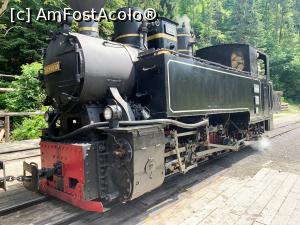 [P36] Locomotivă cu abur » foto by AZE
 - 
<span class="allrVoted glyphicon glyphicon-heart hidden" id="av1325042"></span>
<a class="m-l-10 hidden" id="sv1325042" onclick="voting_Foto_DelVot(,1325042,18930)" role="button">șterge vot <span class="glyphicon glyphicon-remove"></span></a>
<a id="v91325042" class=" c-red"  onclick="voting_Foto_SetVot(1325042)" role="button"><span class="glyphicon glyphicon-heart-empty"></span> <b>LIKE</b> = Votează poza</a> <img class="hidden"  id="f1325042W9" src="/imagini/loader.gif" border="0" /><span class="AjErrMes hidden" id="e1325042ErM"></span>