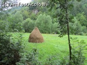 [P27] Peisaj pe Valea Vaserului » foto by crismis
 - 
<span class="allrVoted glyphicon glyphicon-heart hidden" id="av799030"></span>
<a class="m-l-10 hidden" id="sv799030" onclick="voting_Foto_DelVot(,799030,18930)" role="button">șterge vot <span class="glyphicon glyphicon-remove"></span></a>
<a id="v9799030" class=" c-red"  onclick="voting_Foto_SetVot(799030)" role="button"><span class="glyphicon glyphicon-heart-empty"></span> <b>LIKE</b> = Votează poza</a> <img class="hidden"  id="f799030W9" src="/imagini/loader.gif" border="0" /><span class="AjErrMes hidden" id="e799030ErM"></span>