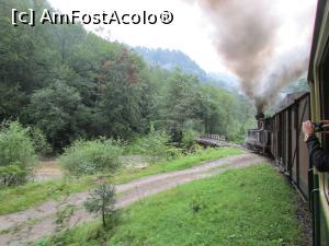 [P39] Trecem un pod peste Vaser » foto by crismis
 - 
<span class="allrVoted glyphicon glyphicon-heart hidden" id="av799042"></span>
<a class="m-l-10 hidden" id="sv799042" onclick="voting_Foto_DelVot(,799042,18930)" role="button">șterge vot <span class="glyphicon glyphicon-remove"></span></a>
<a id="v9799042" class=" c-red"  onclick="voting_Foto_SetVot(799042)" role="button"><span class="glyphicon glyphicon-heart-empty"></span> <b>LIKE</b> = Votează poza</a> <img class="hidden"  id="f799042W9" src="/imagini/loader.gif" border="0" /><span class="AjErrMes hidden" id="e799042ErM"></span>