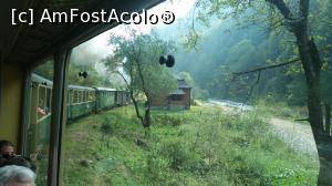 [P16] Mocănița pe Valea Vaserului » foto by costy69*
 - 
<span class="allrVoted glyphicon glyphicon-heart hidden" id="av809373"></span>
<a class="m-l-10 hidden" id="sv809373" onclick="voting_Foto_DelVot(,809373,18930)" role="button">șterge vot <span class="glyphicon glyphicon-remove"></span></a>
<a id="v9809373" class=" c-red"  onclick="voting_Foto_SetVot(809373)" role="button"><span class="glyphicon glyphicon-heart-empty"></span> <b>LIKE</b> = Votează poza</a> <img class="hidden"  id="f809373W9" src="/imagini/loader.gif" border="0" /><span class="AjErrMes hidden" id="e809373ErM"></span>